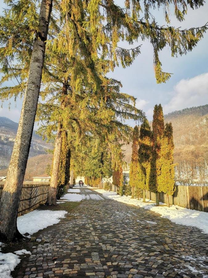 Jugul Taranului Agropensiune Polovragi, Gorj Villa Exterior photo